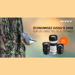 Sony