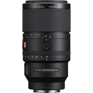 Sony FE 100mm f2.8 Macro GM 2