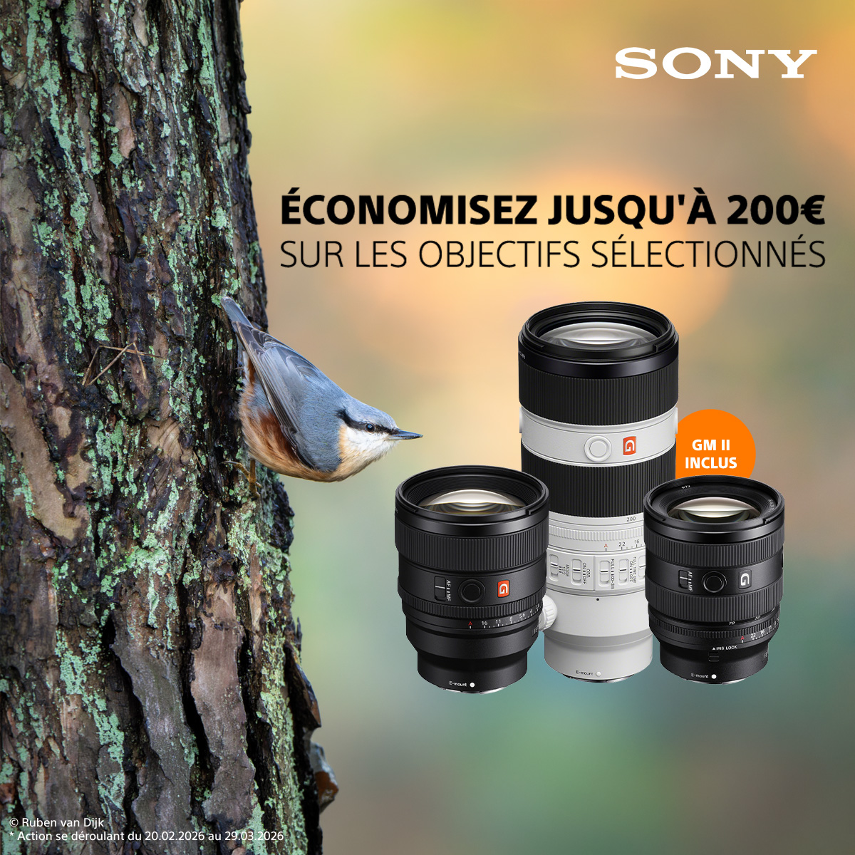 Sony Lens Wildlife Promotion