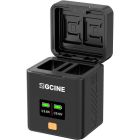 ZGCINE Chargeur pour Batteries Sony NP-FZ100 (PS-FZ100)